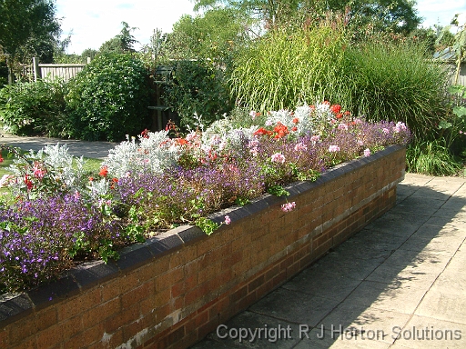 Growth therapy garden_3